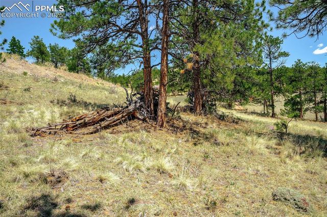 56 Dallas Park Circle, Florissant, CO 80816