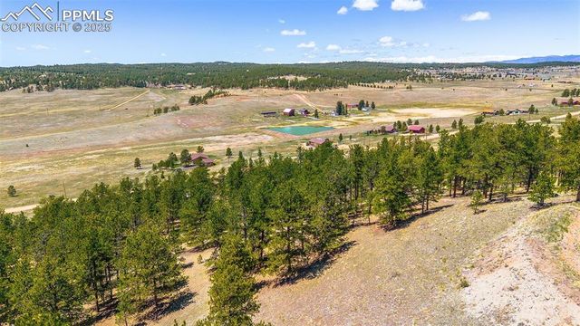 56 Dallas Park Circle, Florissant, CO 80816