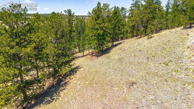 56 Dallas Park Circle, Florissant, CO 80816