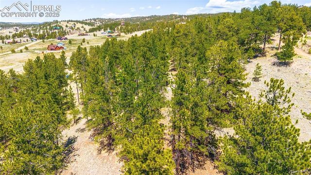56 Dallas Park Circle, Florissant, CO 80816