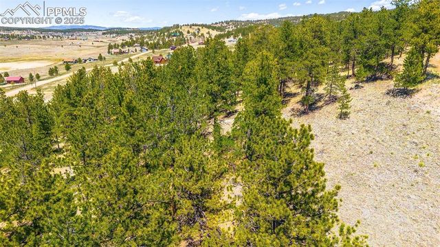 56 Dallas Park Circle, Florissant, CO 80816