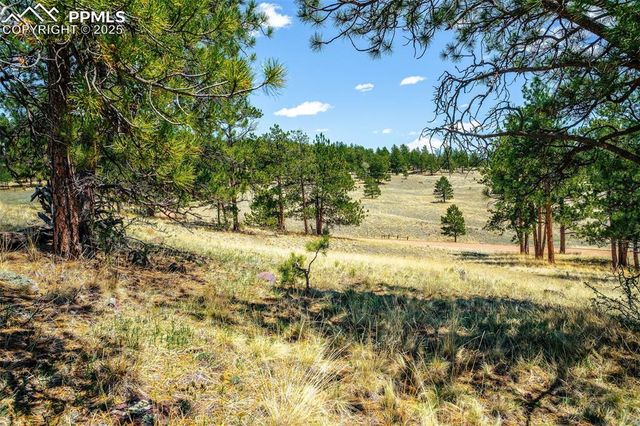 56 Dallas Park Circle, Florissant, CO 80816