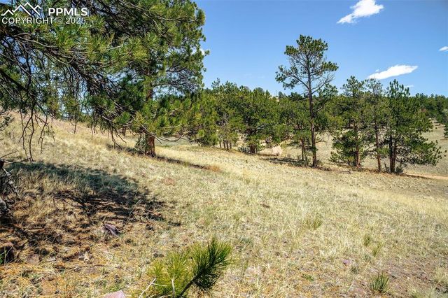 56 Dallas Park Circle, Florissant, CO 80816