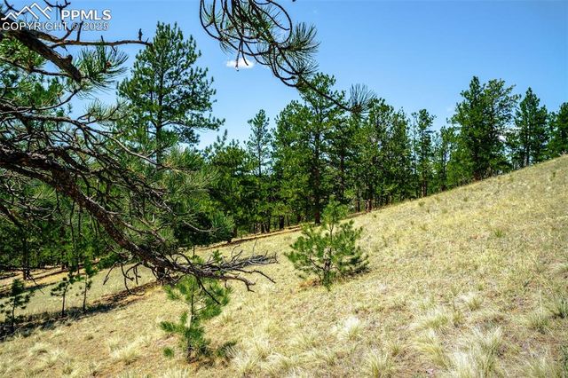 56 Dallas Park Circle, Florissant, CO 80816