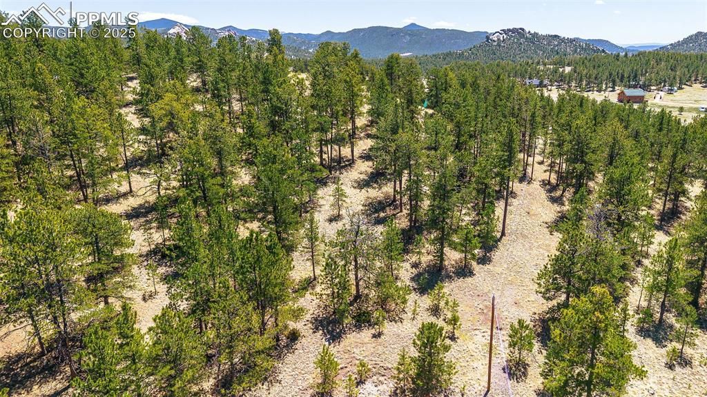 56 Dallas Park Circle, Florissant, CO 80816