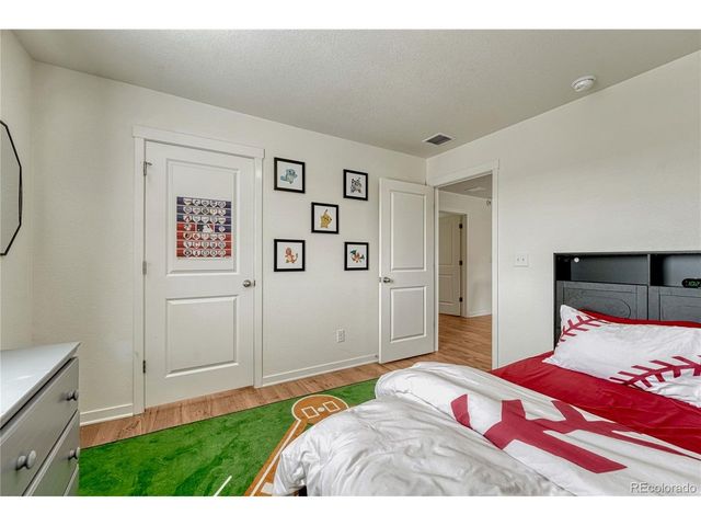 2249 Rosette Ln, Castle Rock, CO 80104