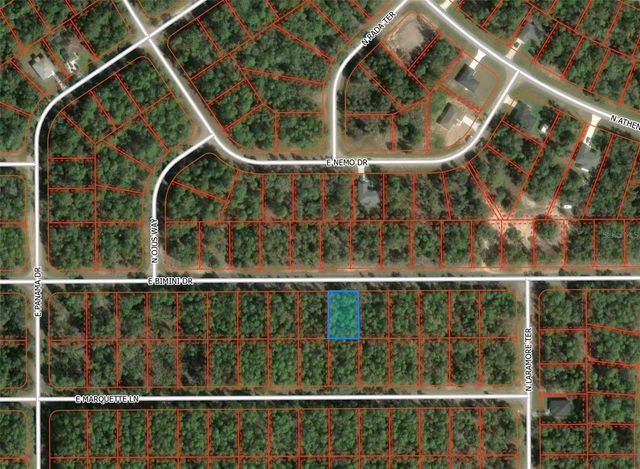 608 E BIMINI DRIVE, Dunnellon, FL 34434
