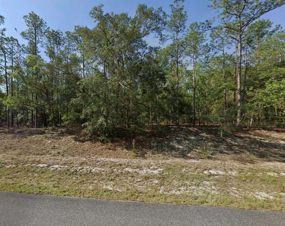 608 E BIMINI DRIVE, Dunnellon, FL 34434