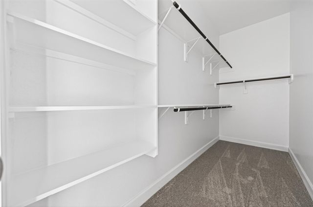 26310 E Meadow Bliss Way, Hockley, TX 77447