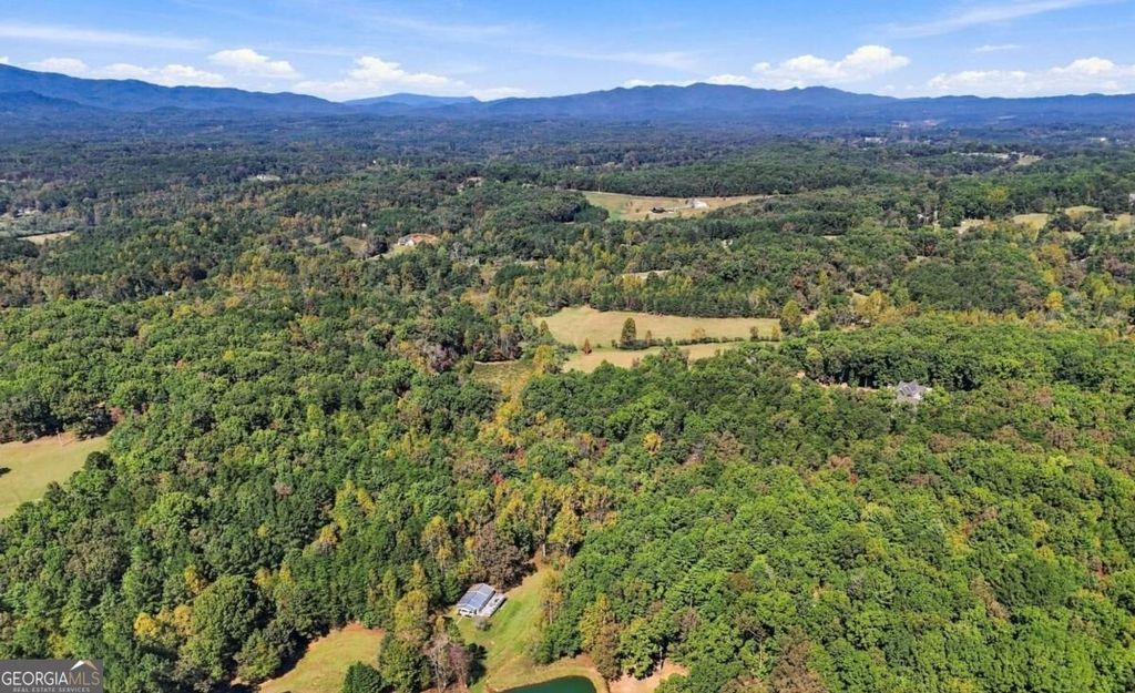 456 Nicholson Road, Blue Ridge, GA 30513 — photo 2