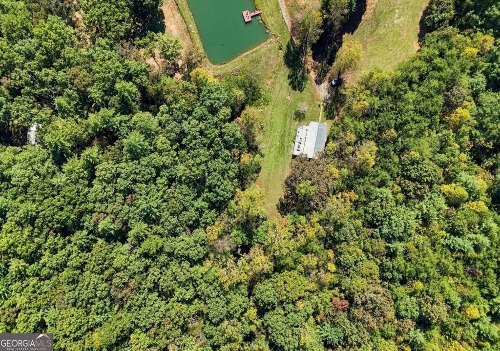 456 Nicholson Road, Blue Ridge, GA 30513 — photo 4