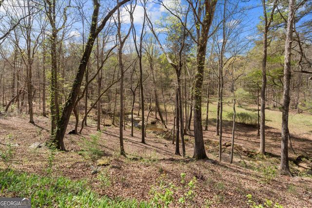 3880 Fern Springs Lane, Douglasville, GA 30135