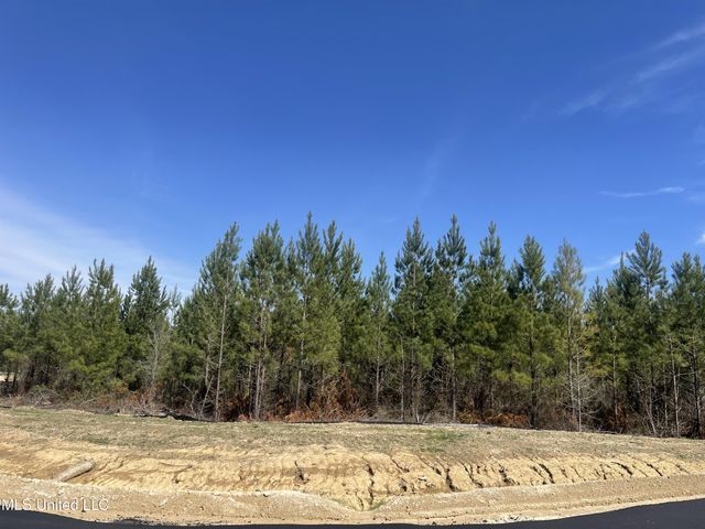 728 Freedom Ridge, Brandon, MS 39047