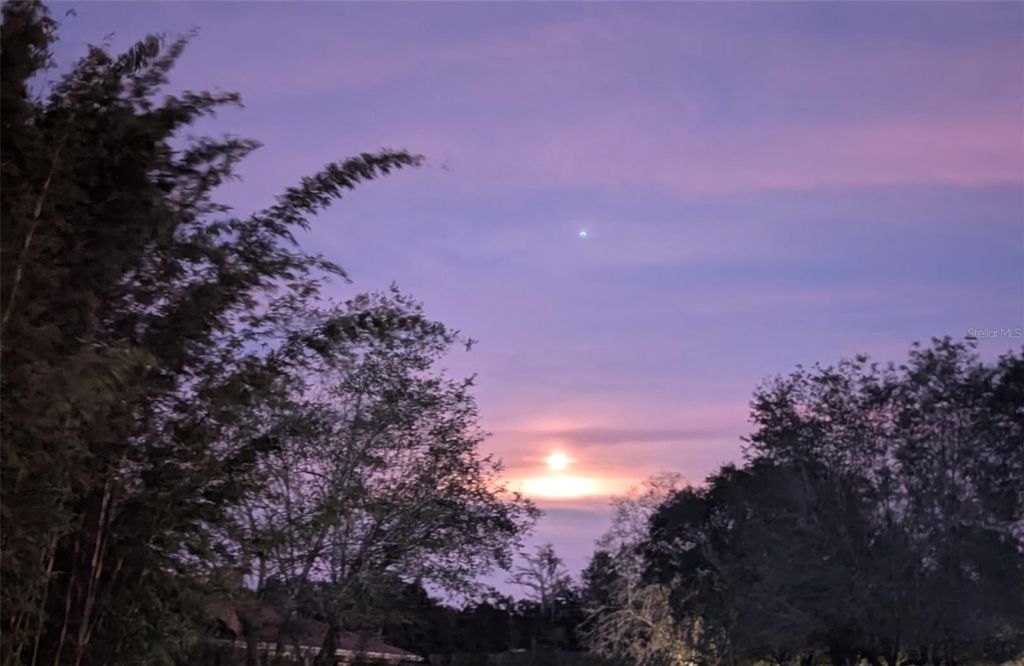 Image 3 of property listing at 13009 ROBERTS ISLAND ROAD, Orlando, FL 32832