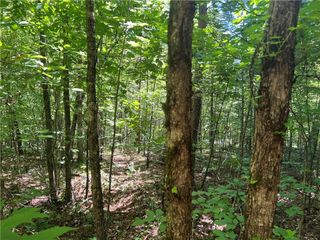 0 Fortner Road, Ball Ground, GA 30107