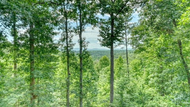 119 Bear Court, Ellijay, GA 30540