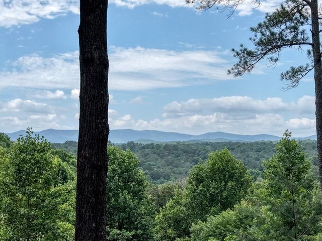 119 Bear Court, Ellijay, GA 30540