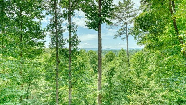 119 Bear Court, Ellijay, GA 30540