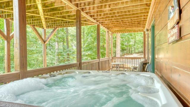 119 Bear Court, Ellijay, GA 30540