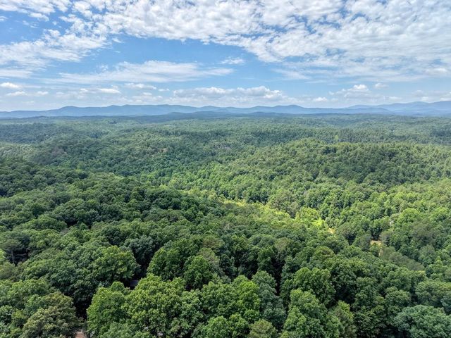 119 Bear Court, Ellijay, GA 30540