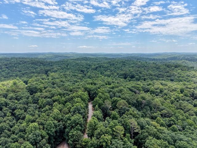 119 Bear Court, Ellijay, GA 30540
