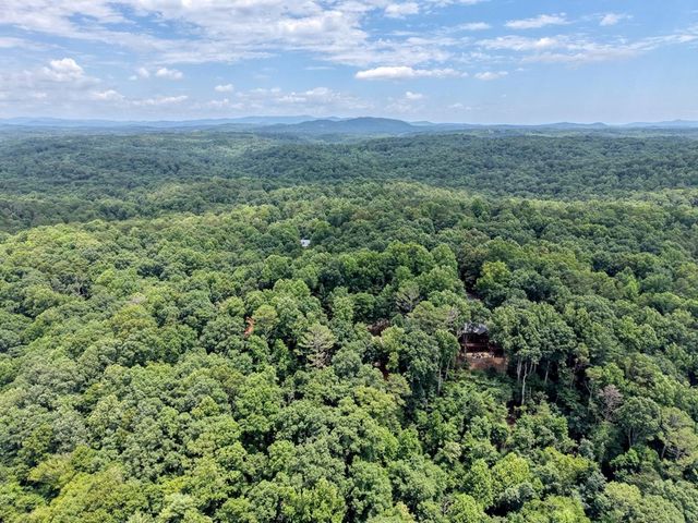 119 Bear Court, Ellijay, GA 30540
