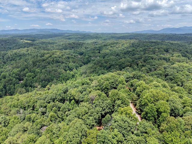 119 Bear Court, Ellijay, GA 30540