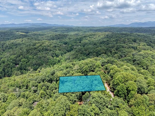 119 Bear Court, Ellijay, GA 30540