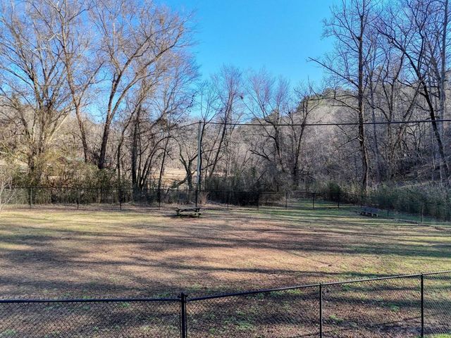 119 Bear Court, Ellijay, GA 30540