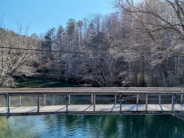119 Bear Court, Ellijay, GA 30540
