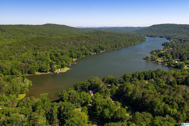 8030 EMERALD LAKE DRIVE W, Pinson, AL 35126