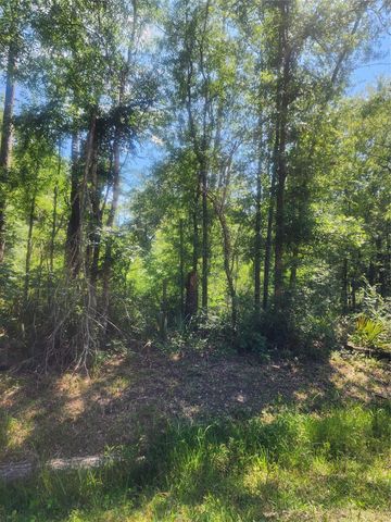01 Cindy Lane, Shepherd, TX 77371