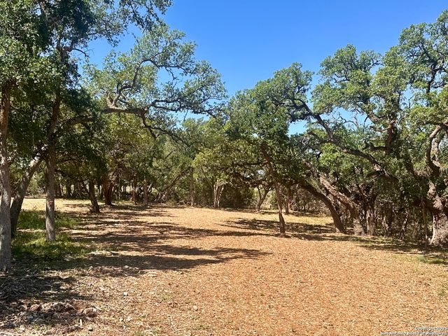 288 Scenic Canyon, New Braunfels, TX 78132