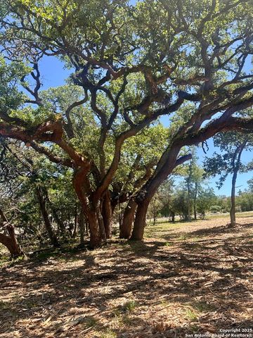 288 Scenic Canyon, New Braunfels, TX 78132