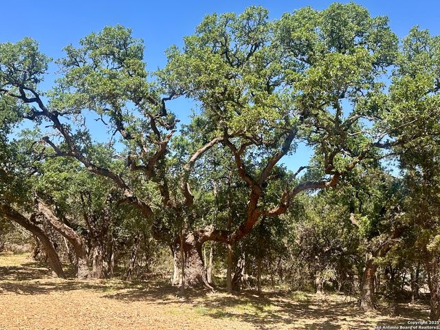 288 Scenic Canyon, New Braunfels, TX 78132