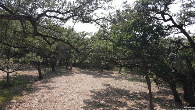 288 Scenic Canyon, New Braunfels, TX 78132