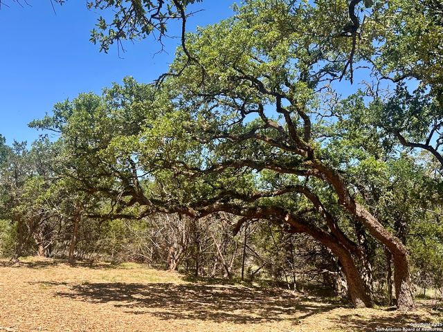 288 Scenic Canyon, New Braunfels, TX 78132