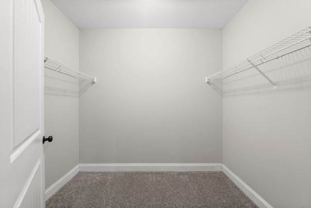 713 W Accipiter Cir, Clarksville, TN 37043