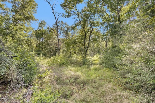 14657 Cedar Lane Loop, Willis, TX 77378
