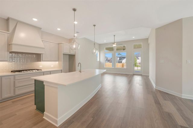 2038 Lobo Court, Todd Mission, TX 77316