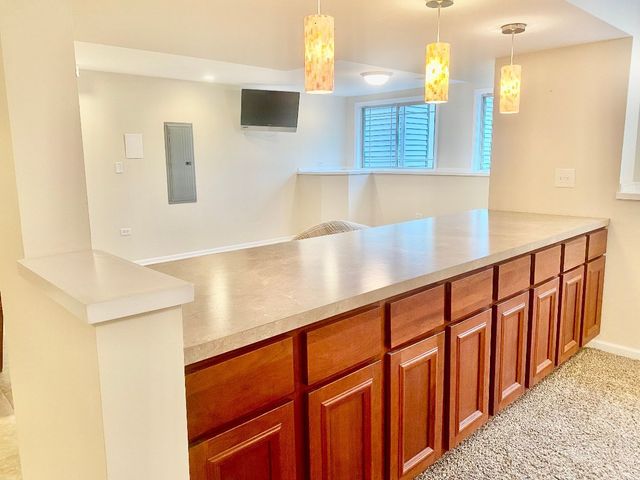 1610 Rolling Pass, Beecher, IL 60401