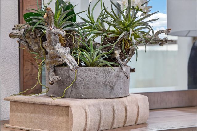 1001 Pecos Street, Aubrey, TX 76227