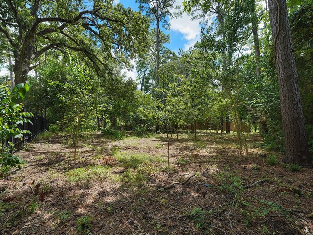 7 Carlton Park Court, Houston, TX 77024