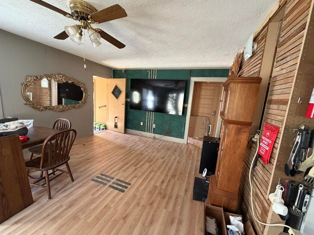 149 & 155 Parmenter Lane, Forsyth, MO 65653