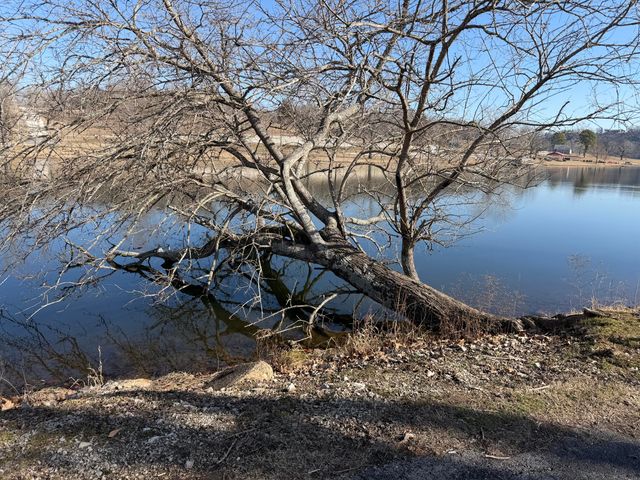 149 & 155 Parmenter Lane, Forsyth, MO 65653