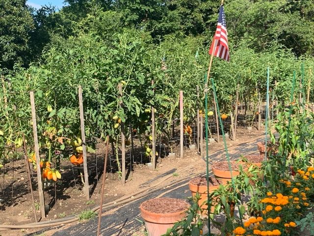 6 Greystone 6, Middleton, MA 01949