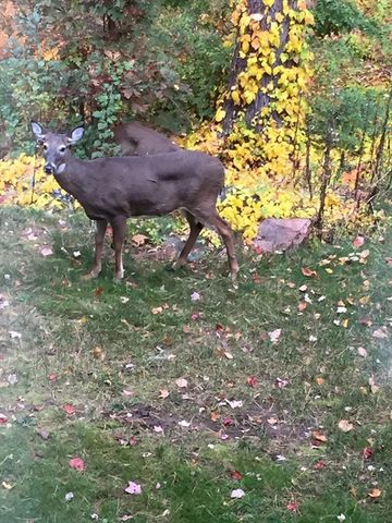 6 Greystone 6, Middleton, MA 01949