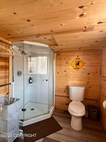 Mi 214.5 Parks Highway, Lot 15E, Cantwell, AK 99729