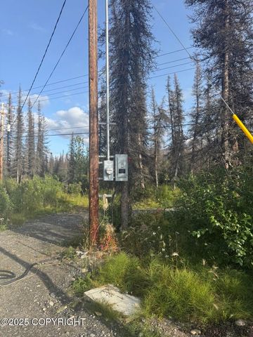 Mi 214.5 Parks Highway, Lot 15E, Cantwell, AK 99729