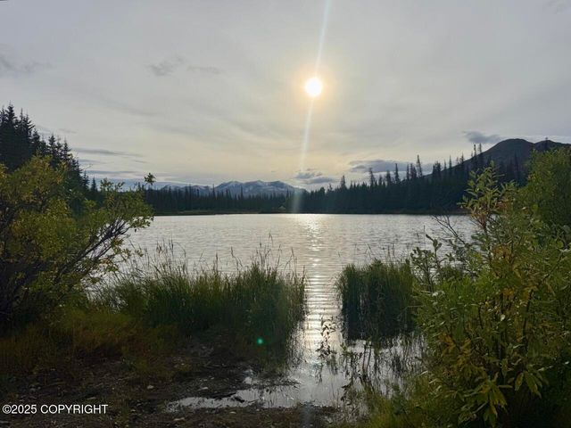 Mi 214.5 Parks Highway, Lot 15E, Cantwell, AK 99729